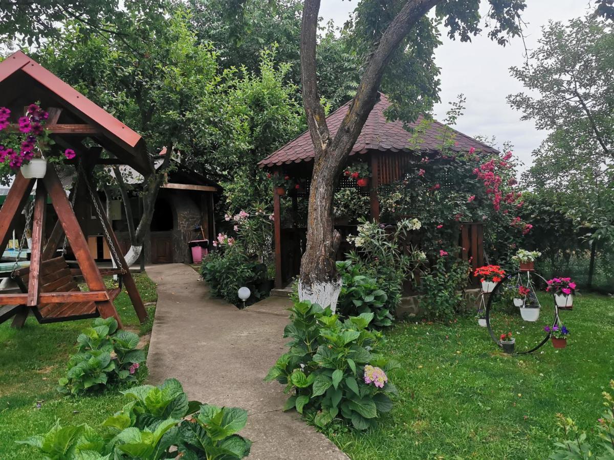 Hotel Casa Lidia Rîu de Mori Exterior foto