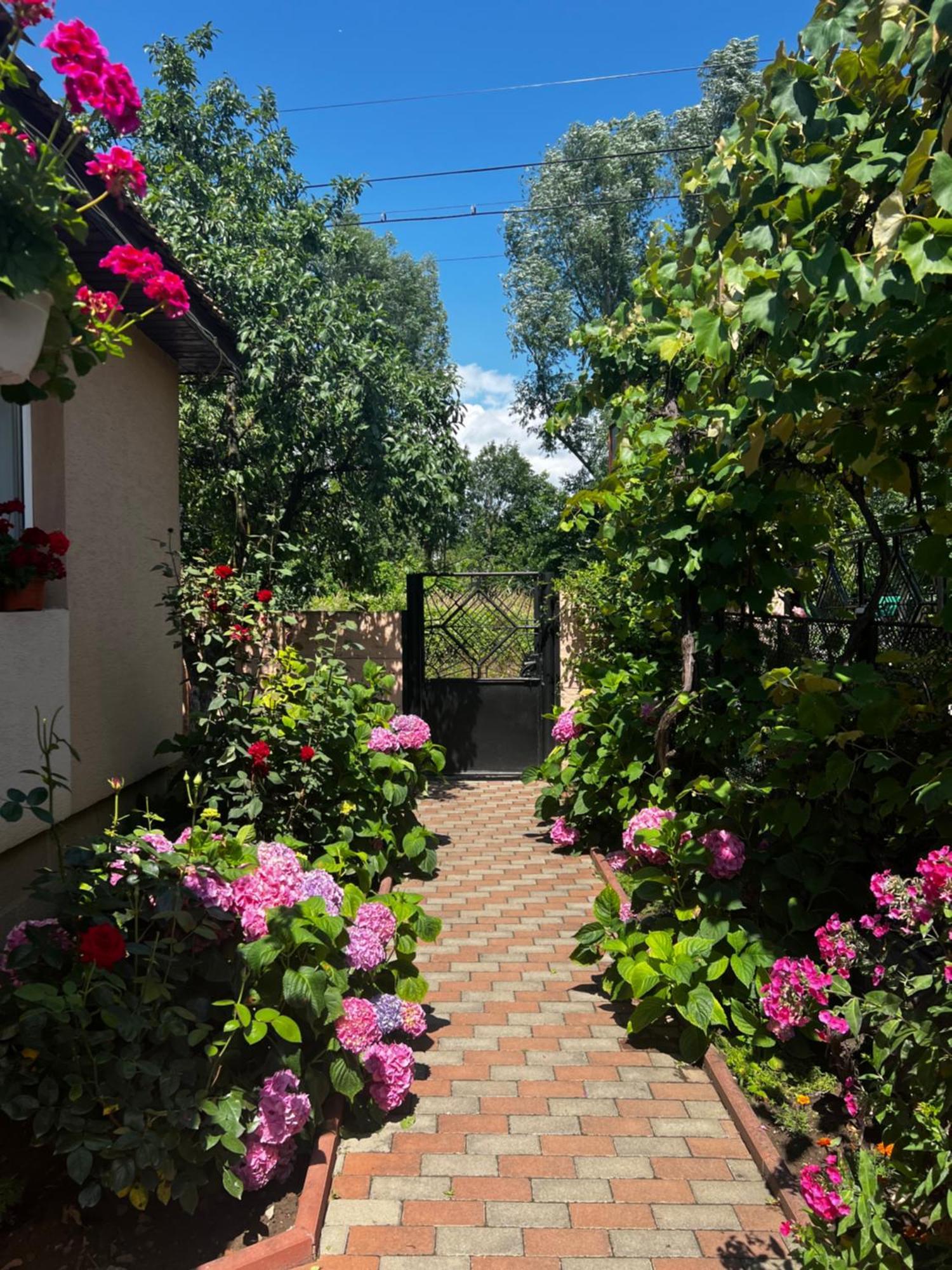 Hotel Casa Lidia Rîu de Mori Exterior foto